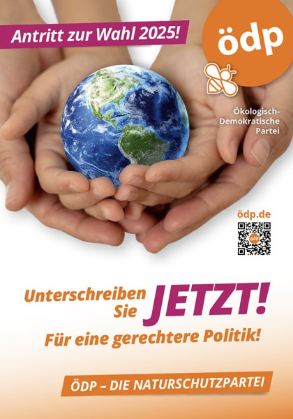 Flyer für BTW 2025